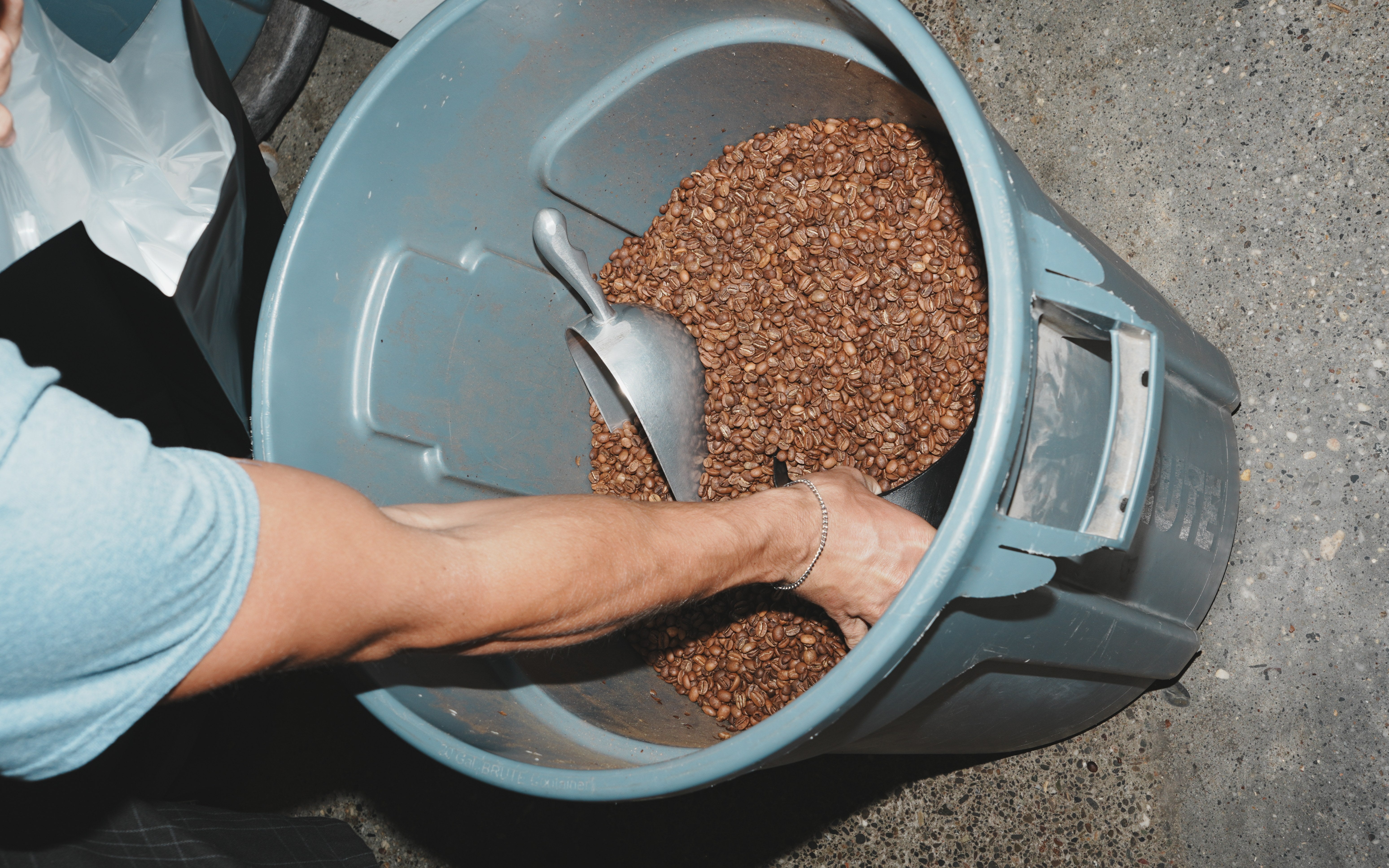 Coffee beans being scooped into a storage bin, representing local Auburn, California hospitality clients